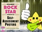 Rock Star Self-Assessment Posters PDF